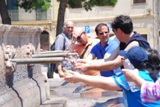 Clicca qui per vedere l'immagine in dettaglio